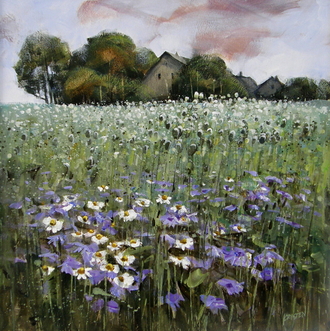 Makové pole - česká krajina