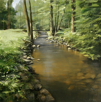 Řeka Fryšávka - Vysočina